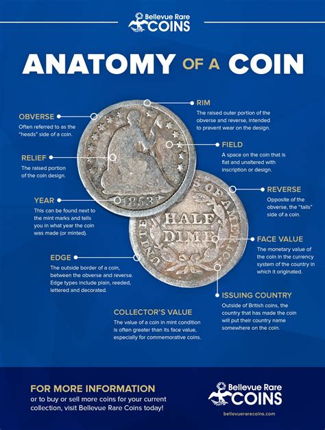 Talosman of coins infographics